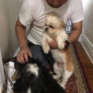 Meet your Posher, Dan